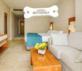 Pet friendly sea view room Hotel ILUNION Fuengirola Pet friendly sea view room Hotel ILUNION Fuengirola