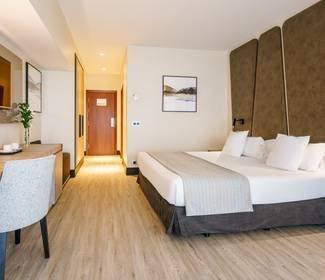 Double room Hotel ILUNION Málaga