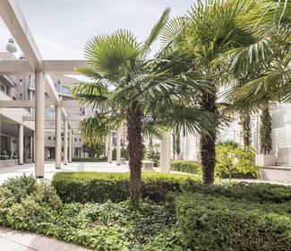 Terrace Hotel ILUNION Alcalá Norte Madrid Terrace Hotel ILUNION Alcalá Norte Madrid