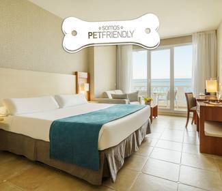 Pet friendly sea view room Hotel ILUNION Fuengirola Pet friendly sea view room Hotel ILUNION Fuengirola
