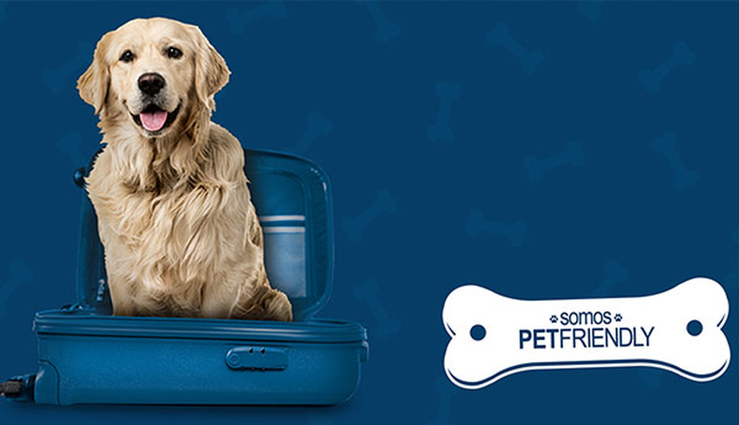 WANT TO TRAVEL WITH YOUR PET? ILUNION Hotels